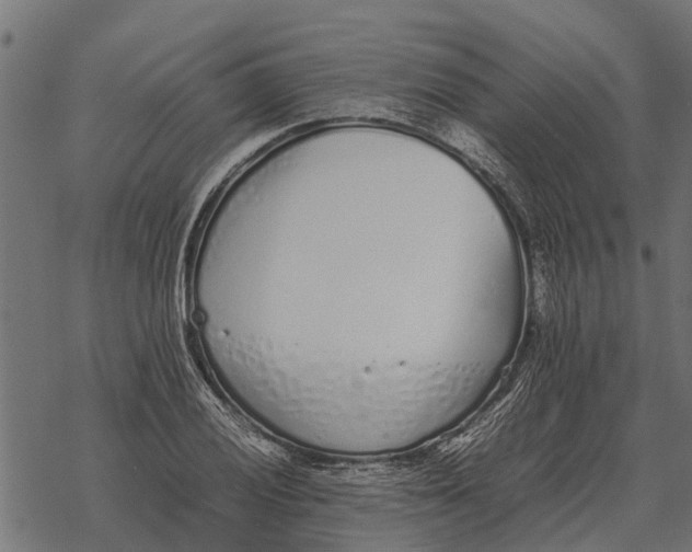 X0000067951028200605041820