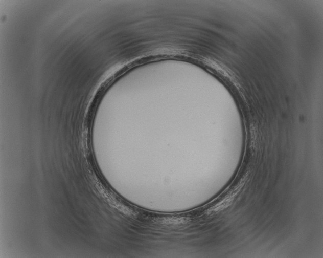 X0000067951029200605041820