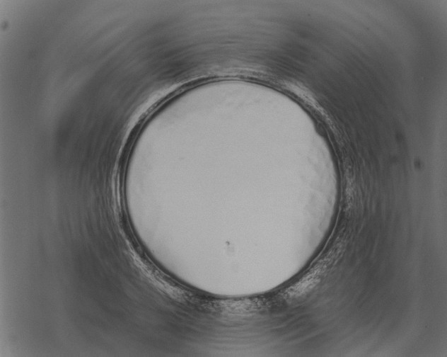 X0000067951032200605041820