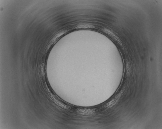 X0000067951033200605041820