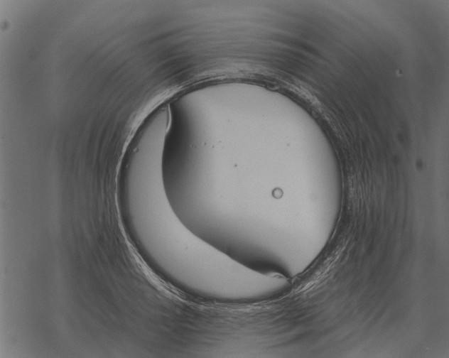 X0000067951034200605041820