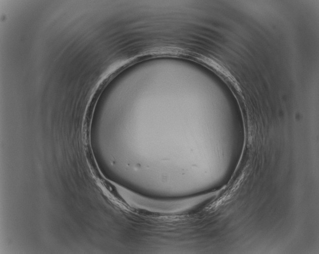 X0000067951037200605041820