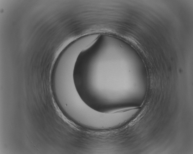 X0000067951038200605041820