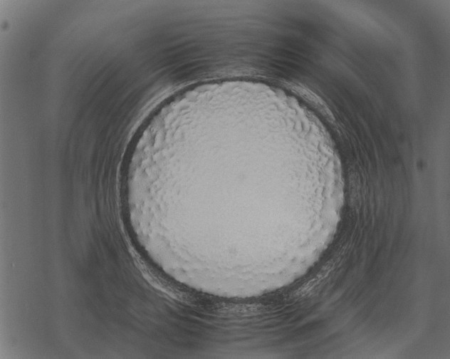 X0000067951039200605041820