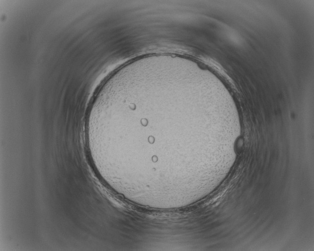 X0000067951040200605041820