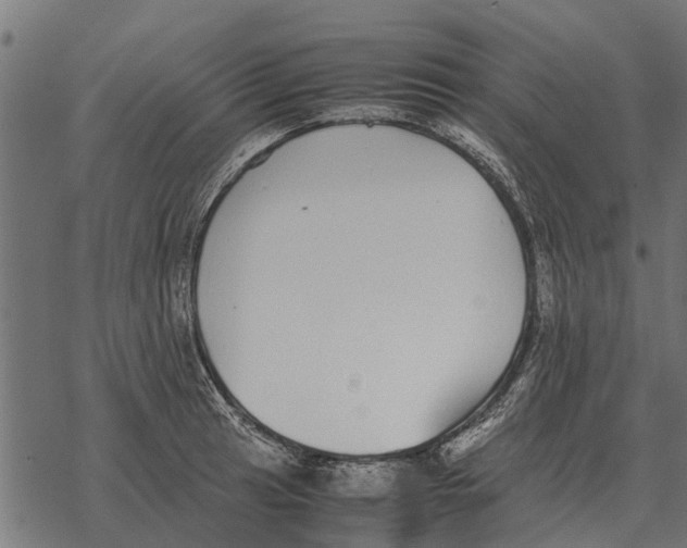 X0000067951041200605041820