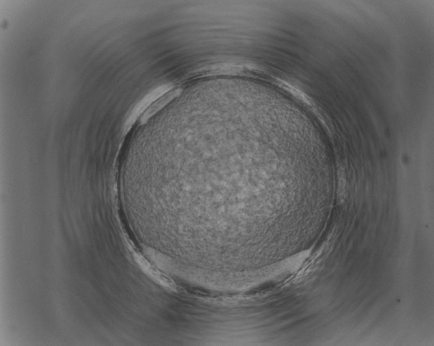 X0000067951042200605041820