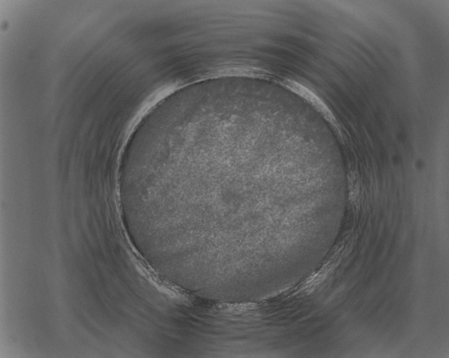 X0000067951043200605041820