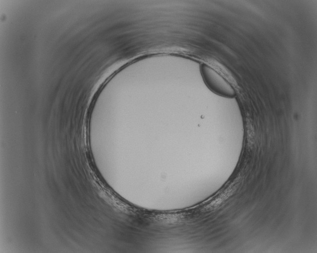 X0000067951044200605041820