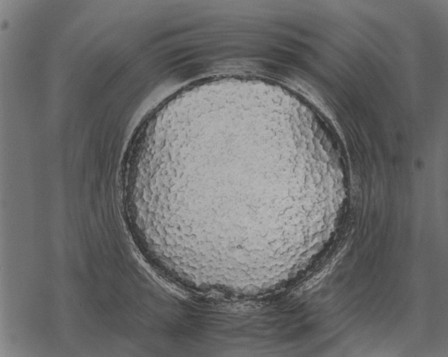 X0000067951045200605041820