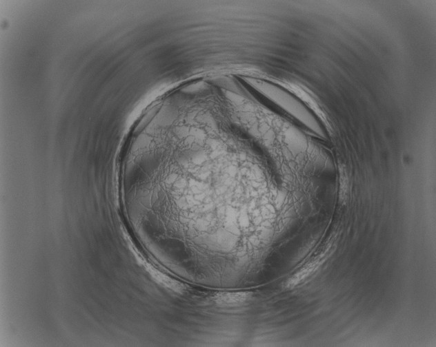 X0000067951046200605041821