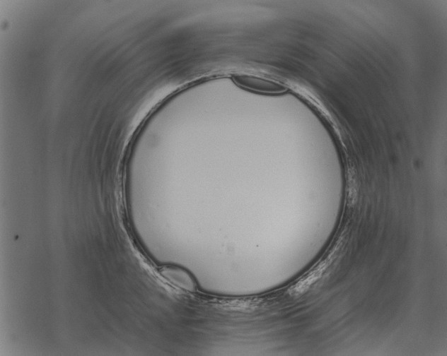 X0000067951048200605041821