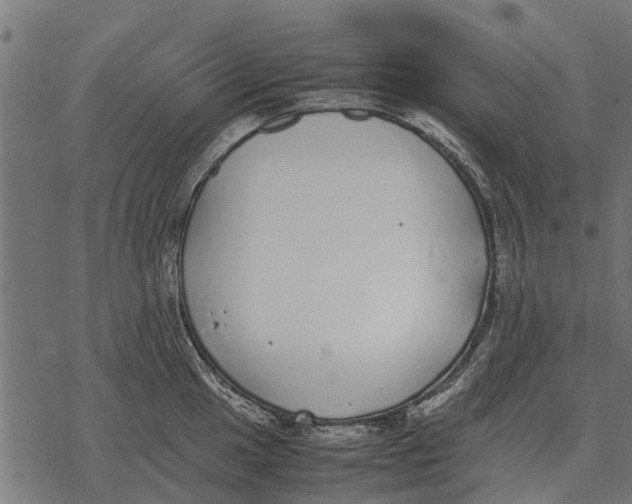 X0000067951049200605041821