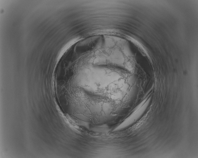 X0000067951050200605041821