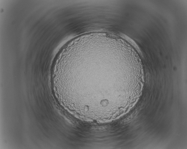 X0000067951051200605041821