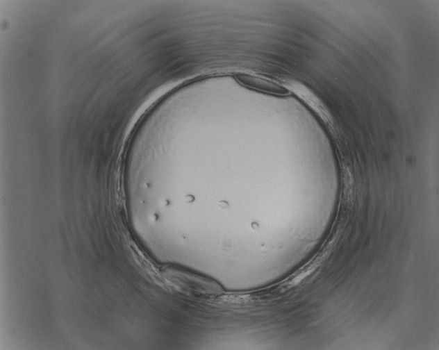 X0000067951052200605041821