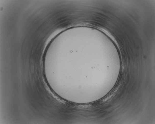 X0000067951053200605041821