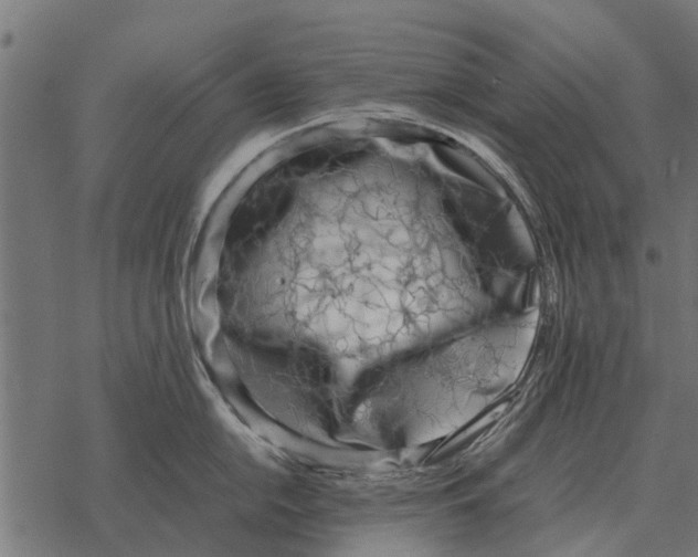 X0000067951054200605041821