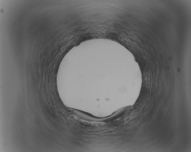 X0000067951057200605041820