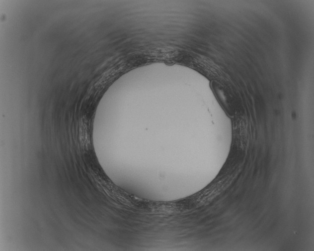 X0000067951058200605041820