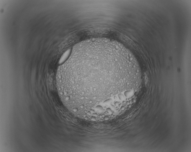 X0000067951059200605041820