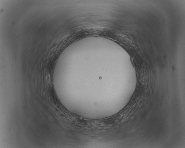 X0000067951061200605041820