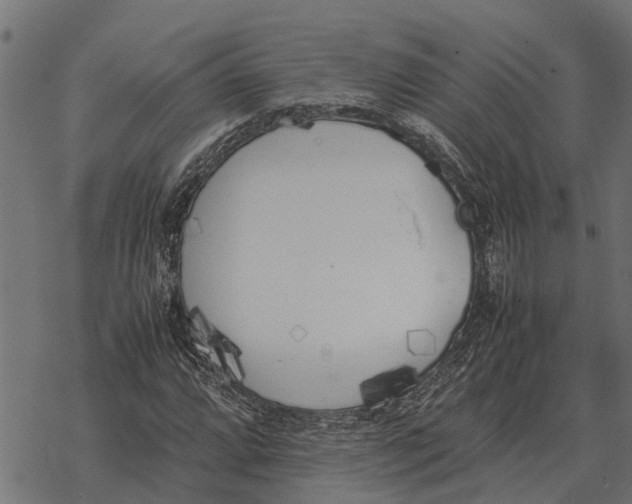 X0000067951064200605041820