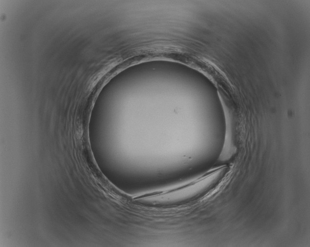 X0000067951065200605041820