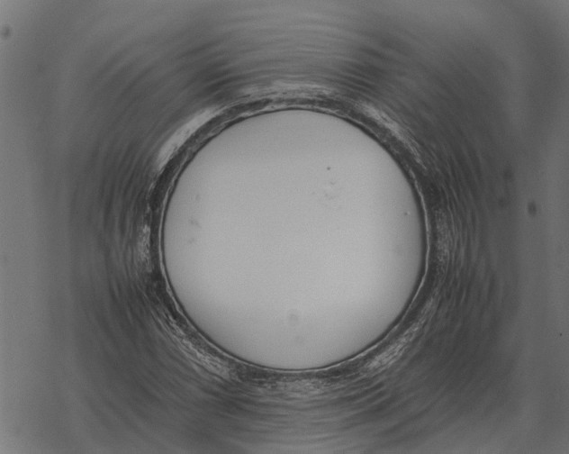 X0000067951066200605041820