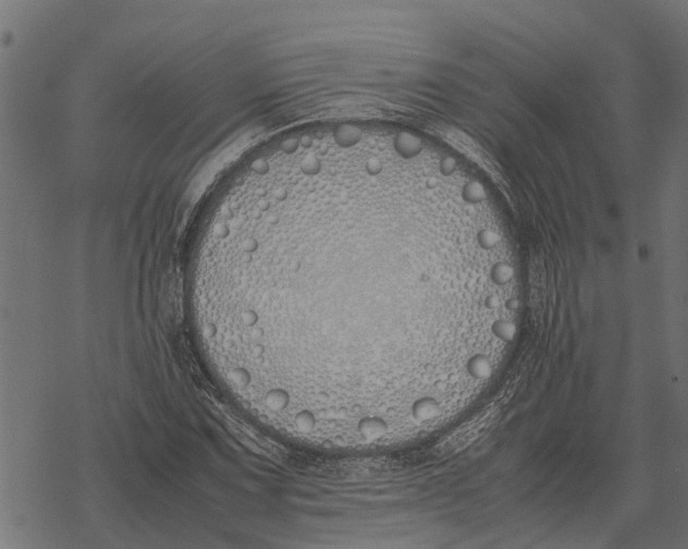 X0000067951067200605041820