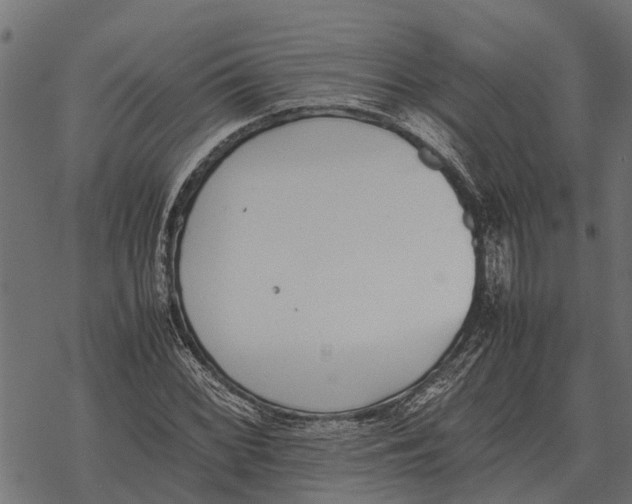 X0000067951068200605041820