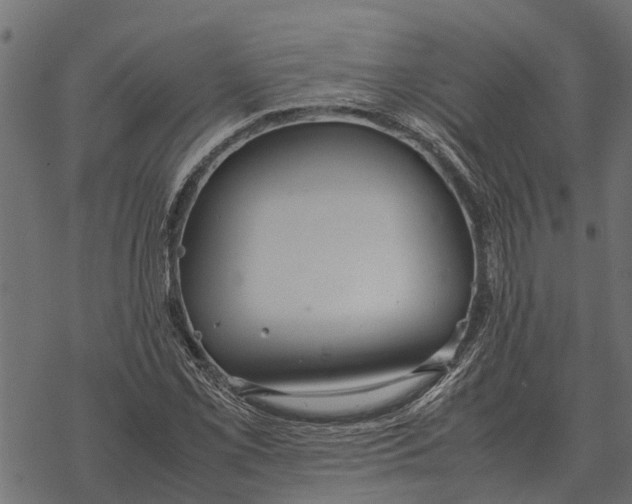 X0000067951069200605041820