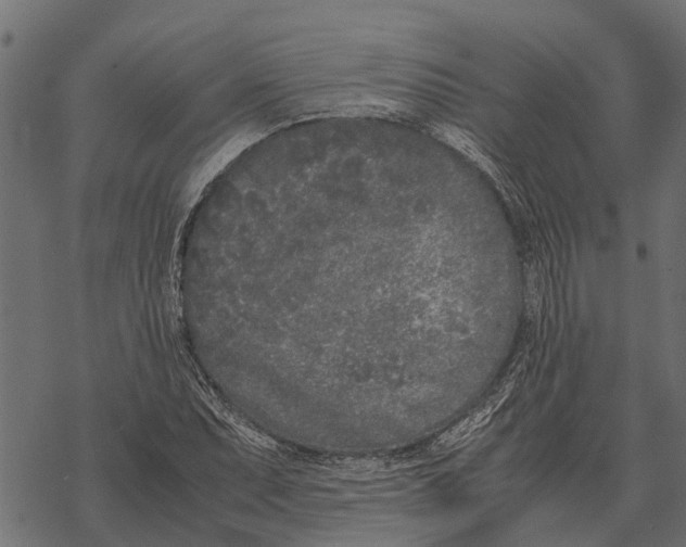 X0000067951071200605041820