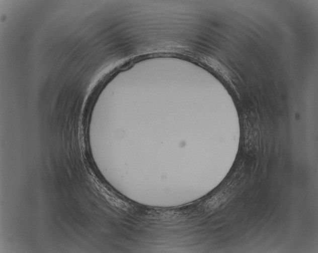 X0000067951072200605041820