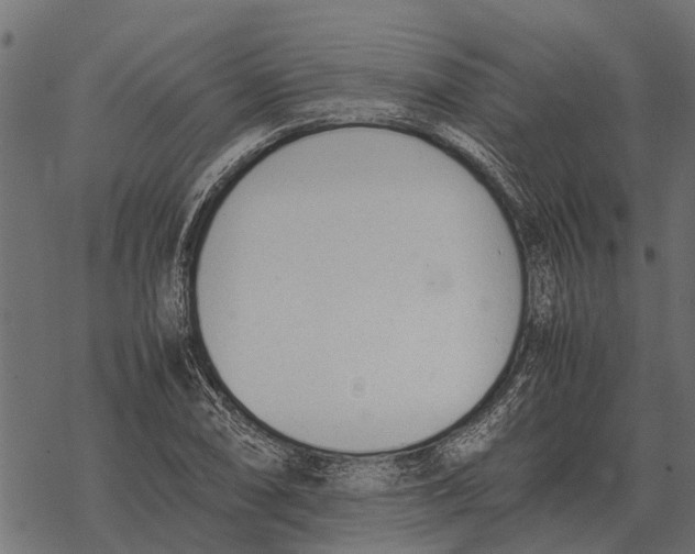 X0000067951074200605041820