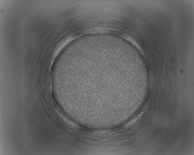 X0000067951075200605041820