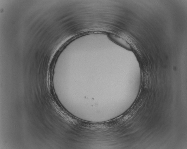 X0000067951076200605041820