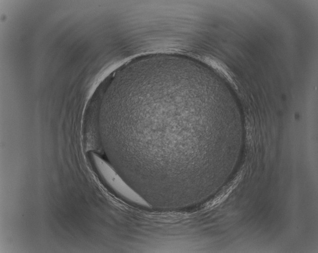 X0000067951077200605041820