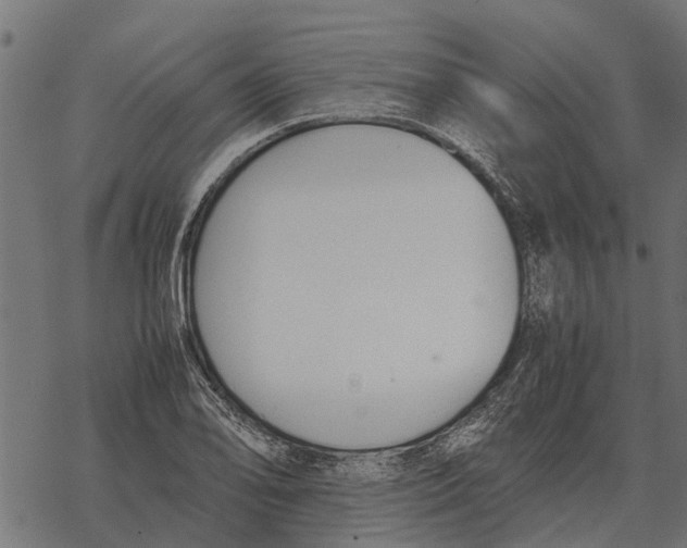 X0000067951078200605041820