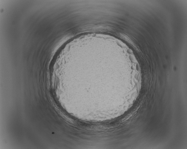 X0000067951079200605041820