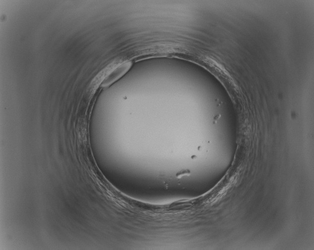 X0000067951081200605041819