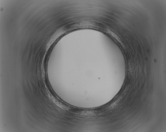 X0000067951082200605041819