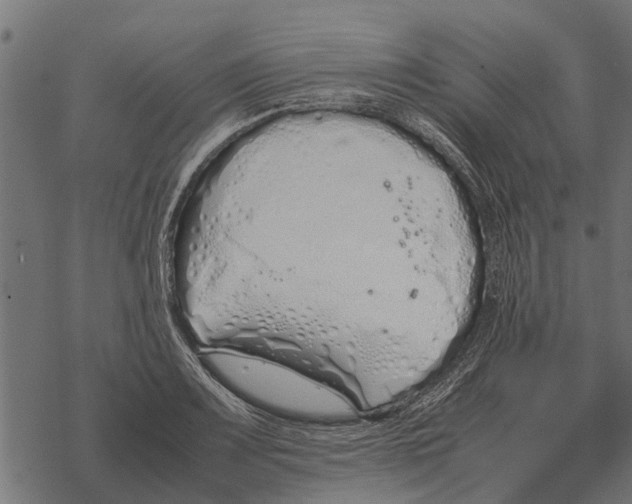 X0000067951083200605041819