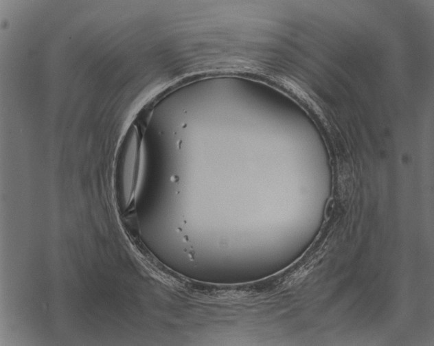 X0000067951085200605041819