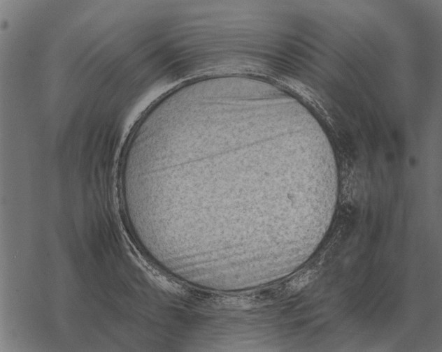 X0000067951086200605041819