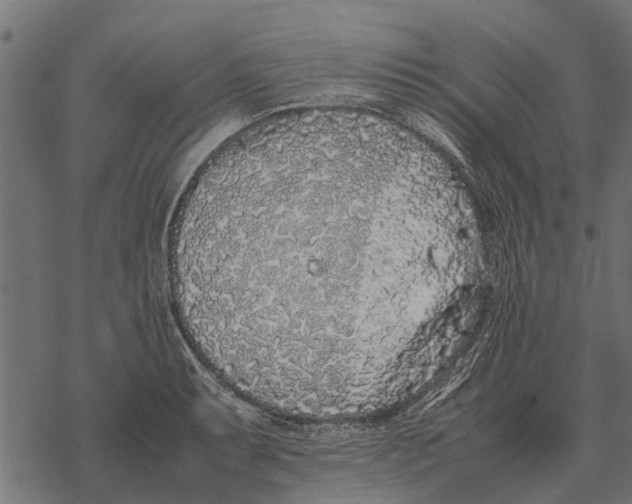 X0000067951087200605041819