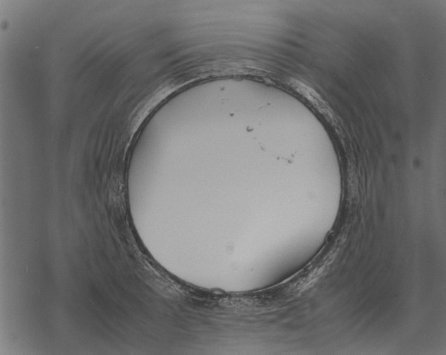 X0000067951089200605041819