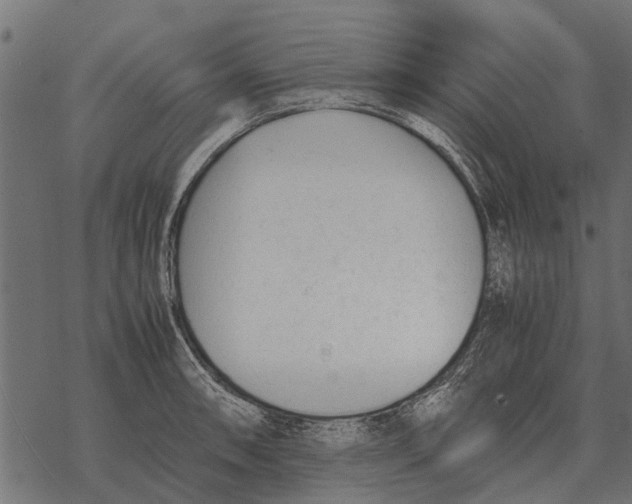 X0000067951090200605041819