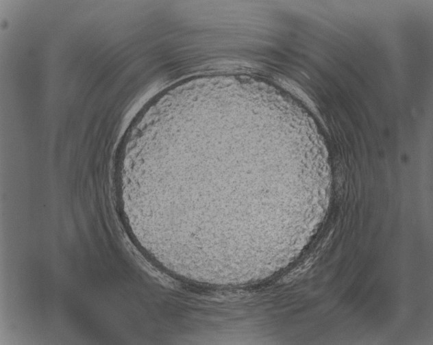 X0000067951091200605041819