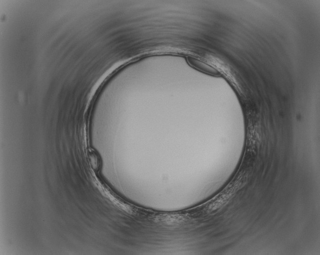 X0000067951092200605041819